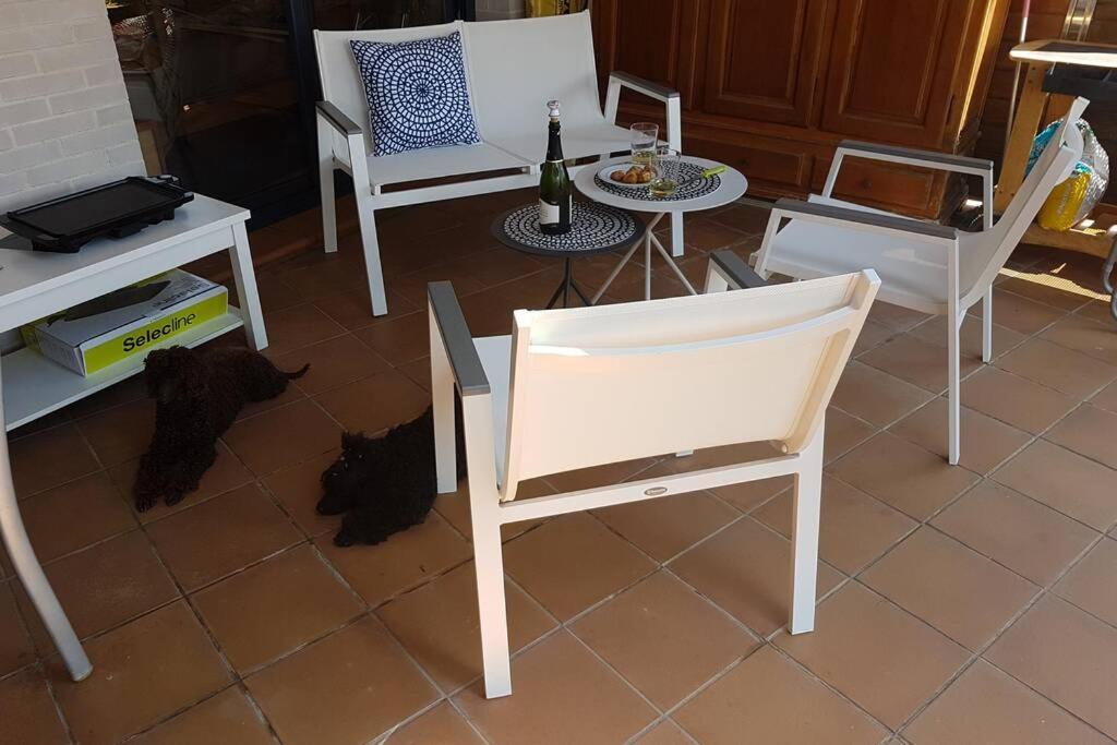 Appart Residence De Standing Calme Avec Piscine Roses Extérieur photo